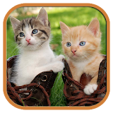 Funny Cats Tile Puzzle icon