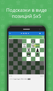 CT-ART 4.0 Шахматы, комбинации