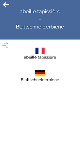 French German Dictionary Screen 3