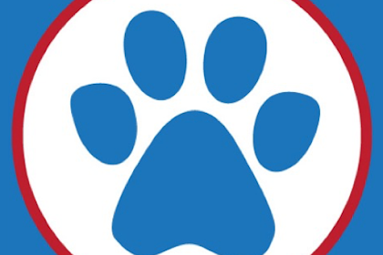 southtowns animal hospital reviews