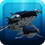 3D Sea Fish Live Wallpaper HD icon
