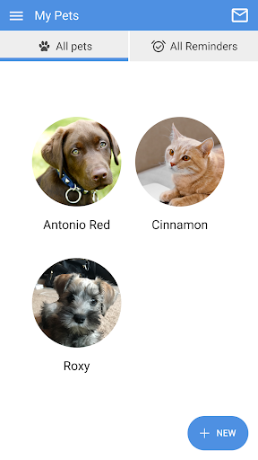 Westbird Vet screenshot 2