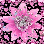 Cover Image of Descargar Glitter Wallpaper : Black Pink  APK