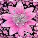 Glitter Wallpaper : Black Pink Glitter Wallpaper Download on Windows