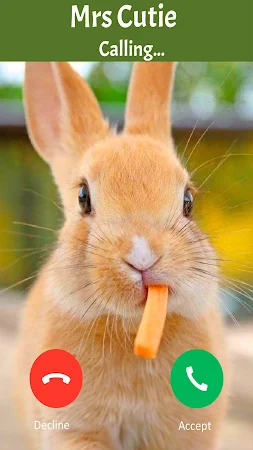 Game screenshot Fake Call: Bunny hack
