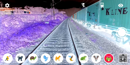 Animal Vision : OpenCV Filters Screen 3