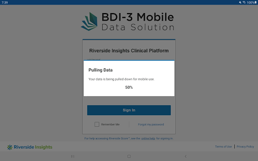 BDI-3 Mobile Data Solution Screen 2