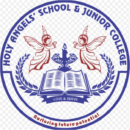 HOLY ANGELS SCHOOL DOMBIVLI  Icon