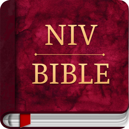 NIV Study Bible : NIV Bible
