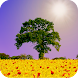 Spring Scene Live Wallpaper - Androidアプリ