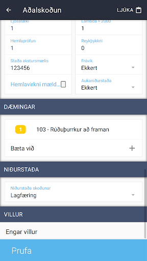 dk Skoðun Screen 2