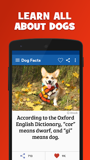 Android application Amazing Dog Facts and Breeds screenshort