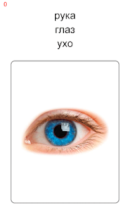 Learn and play Russian words Screenshot