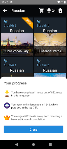 Russian Language Tests Screen 3