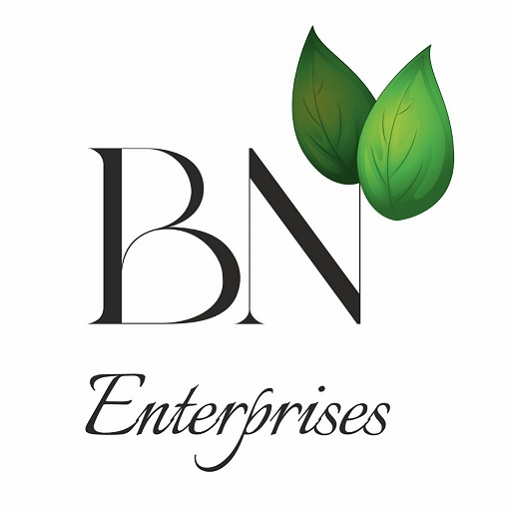 BN Enterprises logo