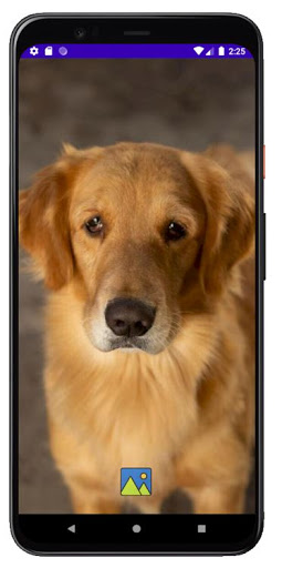 Fondos de Pantalla de Perros G Screen 3