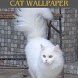 cat wallpaper