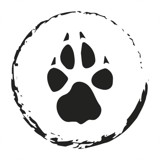 Кафе Енот, Дай Лапу| Сыктывкар logo