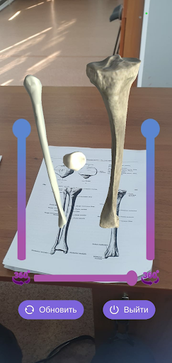 AR Anatomy Screen 3