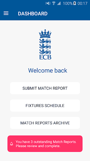 ECB Match Reporting Screen 2