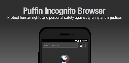 Puffin Incognito Browser - Apps On Google Play