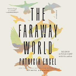 Icon image The Faraway World: Stories