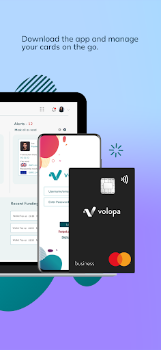 Volopa Business Screen 2