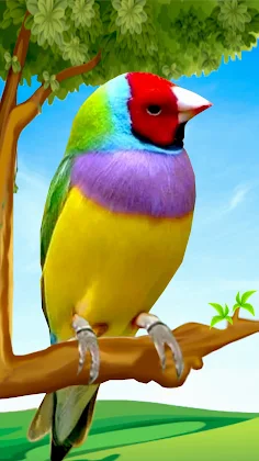 Bird Games – Jungle Adventure - Screenshot 3