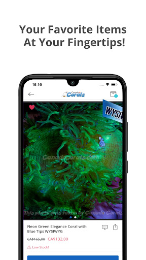 Canada Corals Screenshot 3 - AppWisp.com