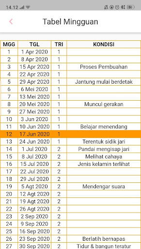 Kalkulator Kehamilan Plus Screenshot 4 - AppWisp.com