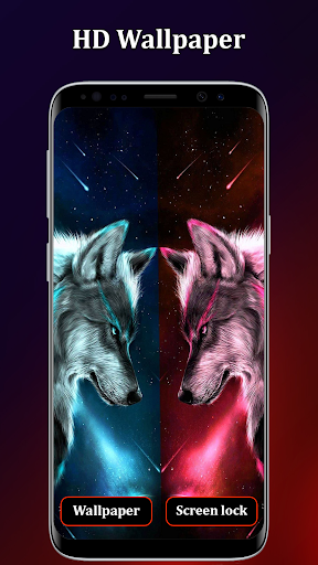 Wolf Wallpapers 4K Background