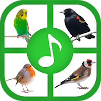 Звуки и мелодии птиц