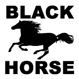 Black Horse Auto Body icon