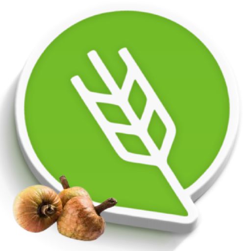 रामफळ लागवड #Agrownet™ logo