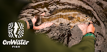 onWater Fish - Fishing Spots APK