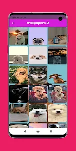 dog wallpapers