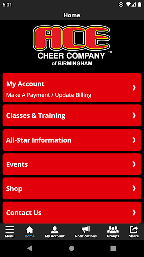ACE Cheer Birmingham Screen 2