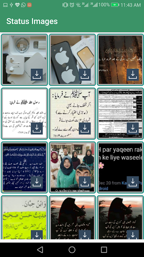 Status Saver - Download & Save Screen 3