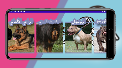 انواع الكلاب بالعربي Screen 2