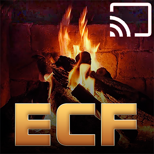 Eco Concept Fireplaces logo
