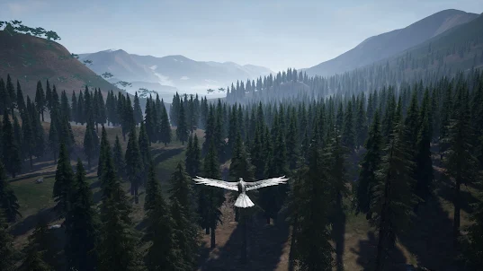 Flight : The Valley