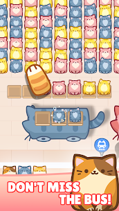 Box Cat Jam : Block Match 4
