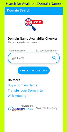 Domain Name Checker Screen 3