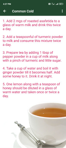 101 Natural Home Remedies Cure Screen 2
