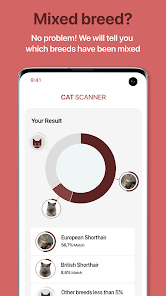 Cat Scanner app download Android mobile version