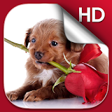 Puppies Live Wallpaper HD icon