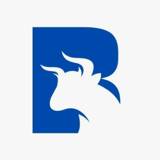 Bailiwick Stock Analyzers logo