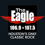 Houston's Eagle icon