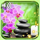 Orchids Best Live Wallpaper icon
