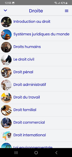 Aperçu de l'application